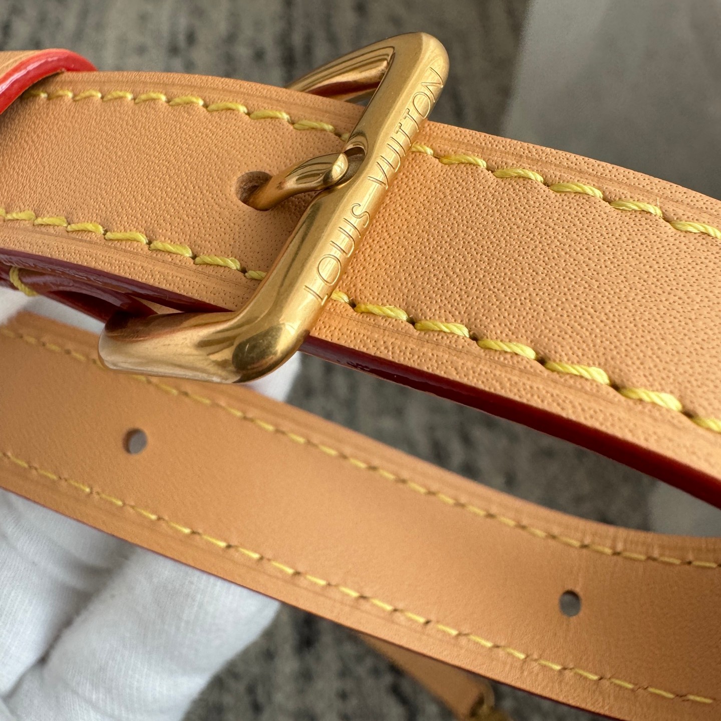 M12617 Pooch Bag 法鬥犬_13