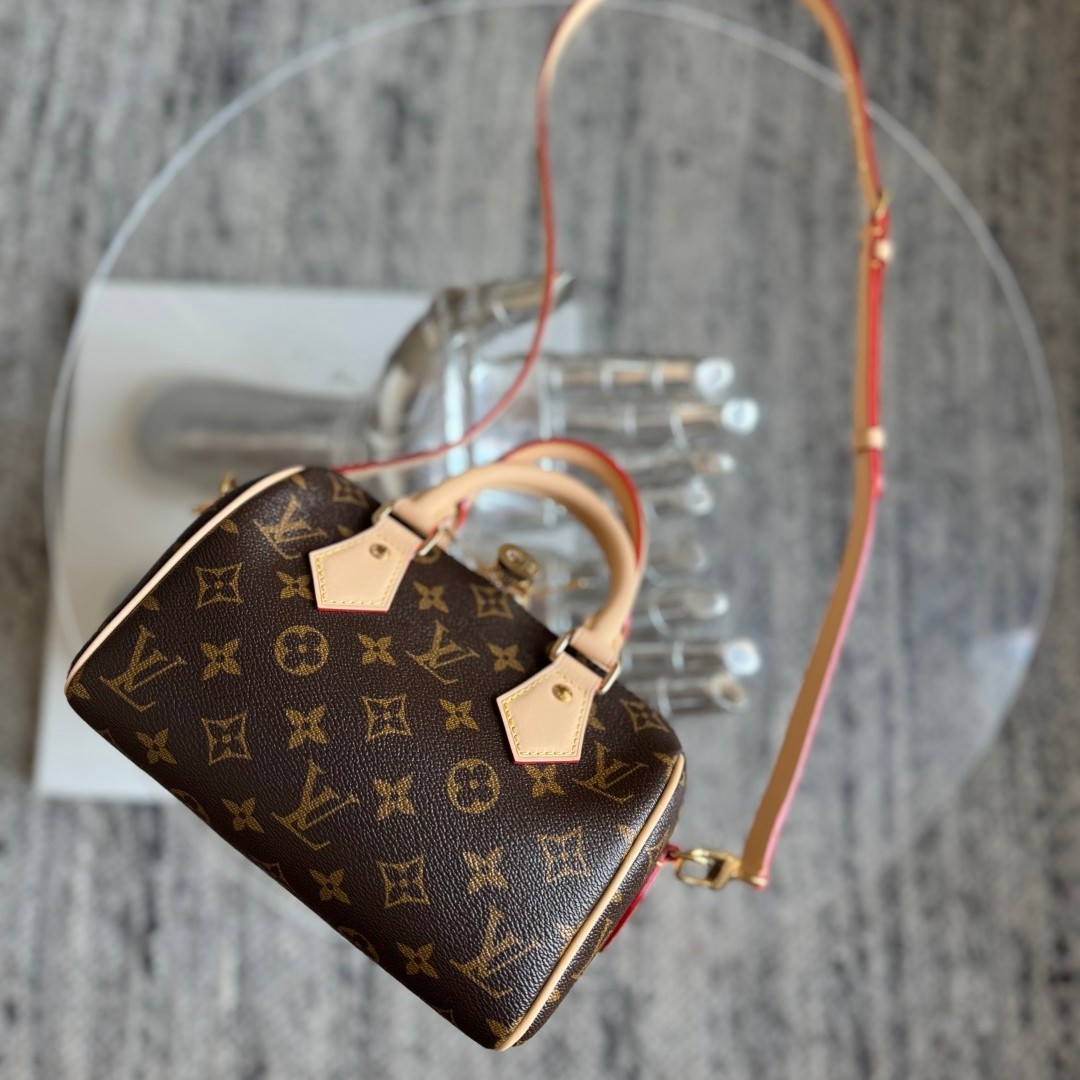 Speedy Bandouliere 20 手袋 M46221_9