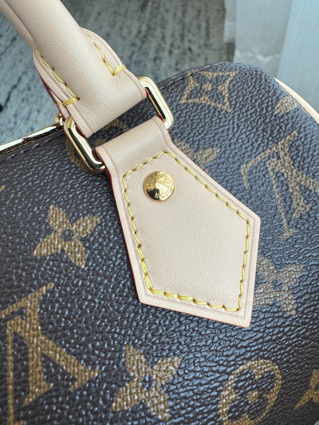 Speedy Bandouliere 20 手袋 M46221_4