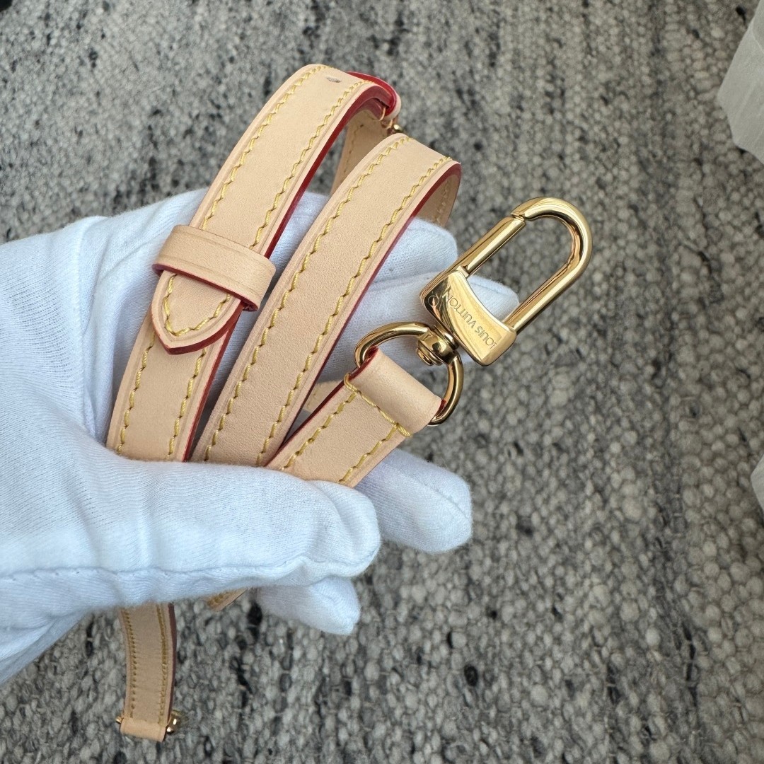 Speedy Bandouliere 20 手袋 M46221_17