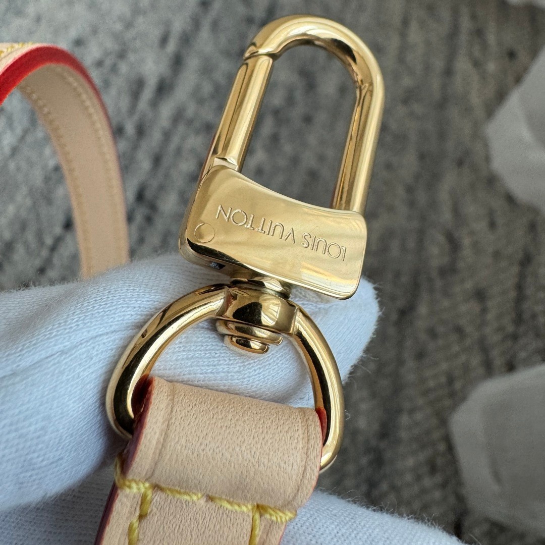 Speedy Bandouliere 20 手袋 M46221_19