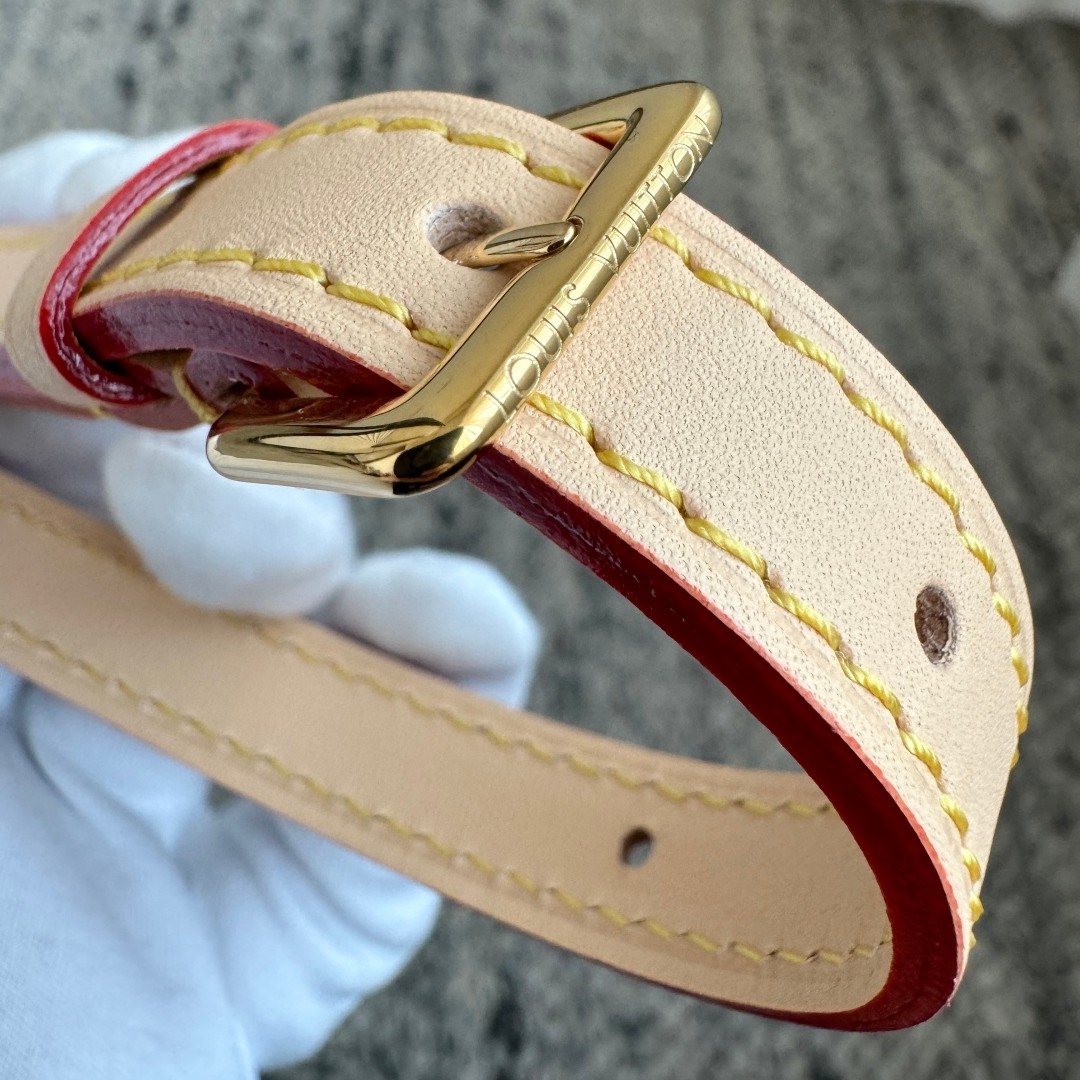 Speedy Bandouliere 20 手袋 M46221_18