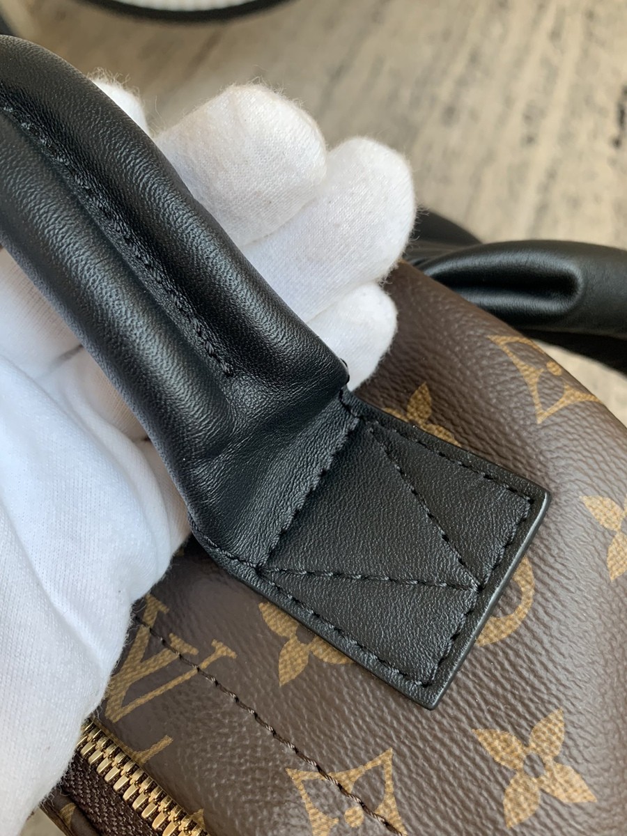 Palm Springs 中號雙肩包M44874_12