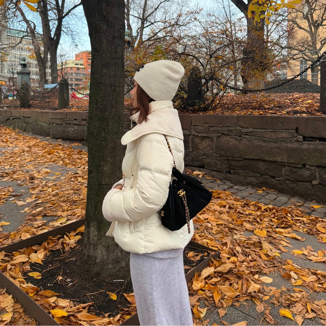 26C 25Bag Mini HandBag麂皮_5