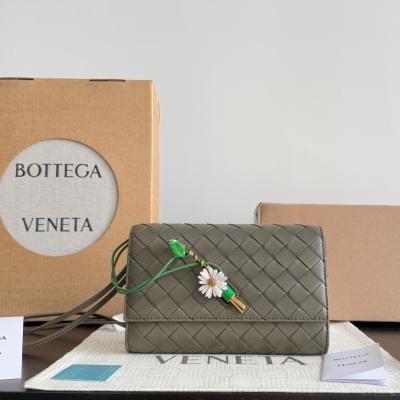 838870 Andiamo 柏樹綠