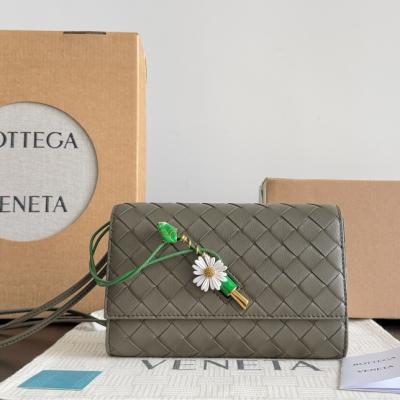 838870小雛菊 柏樹綠