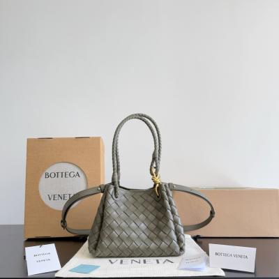 796569小號 柏樹綠