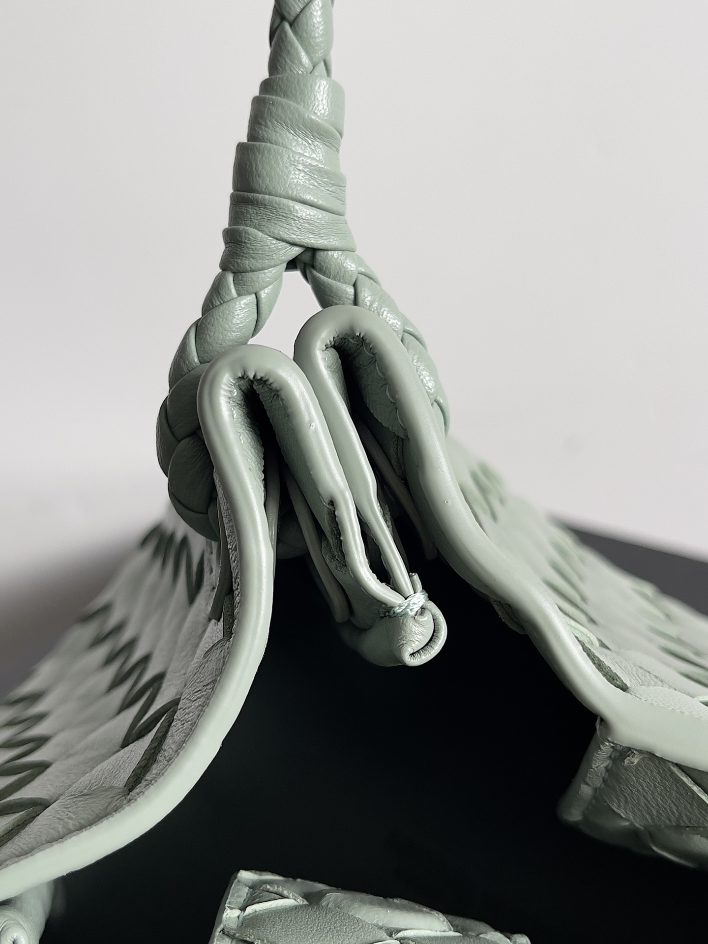 796569小號 鼠尾草_7