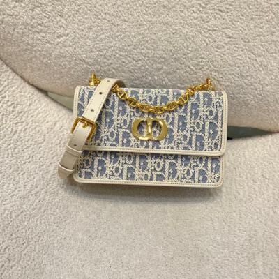 限定色Miss Caro酒椰草