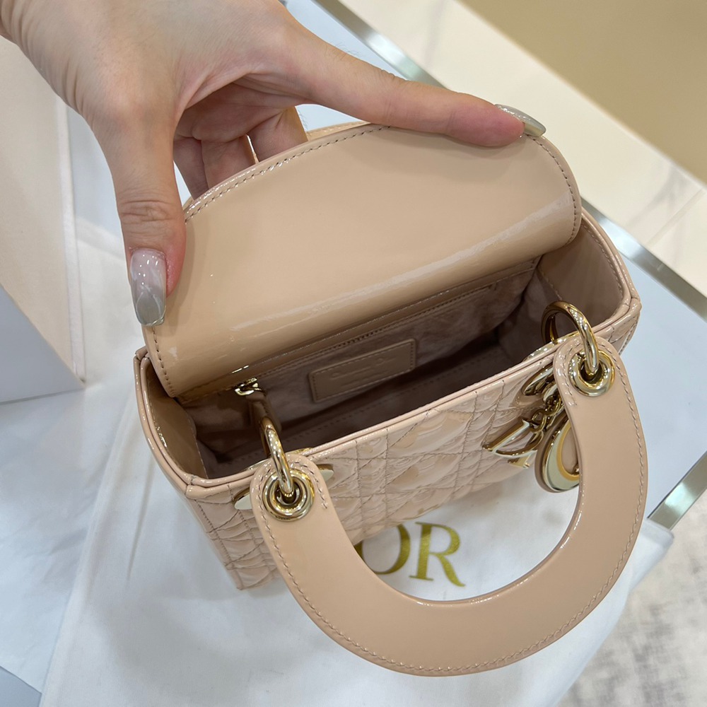 Mini Lady裸粉漆皮_8